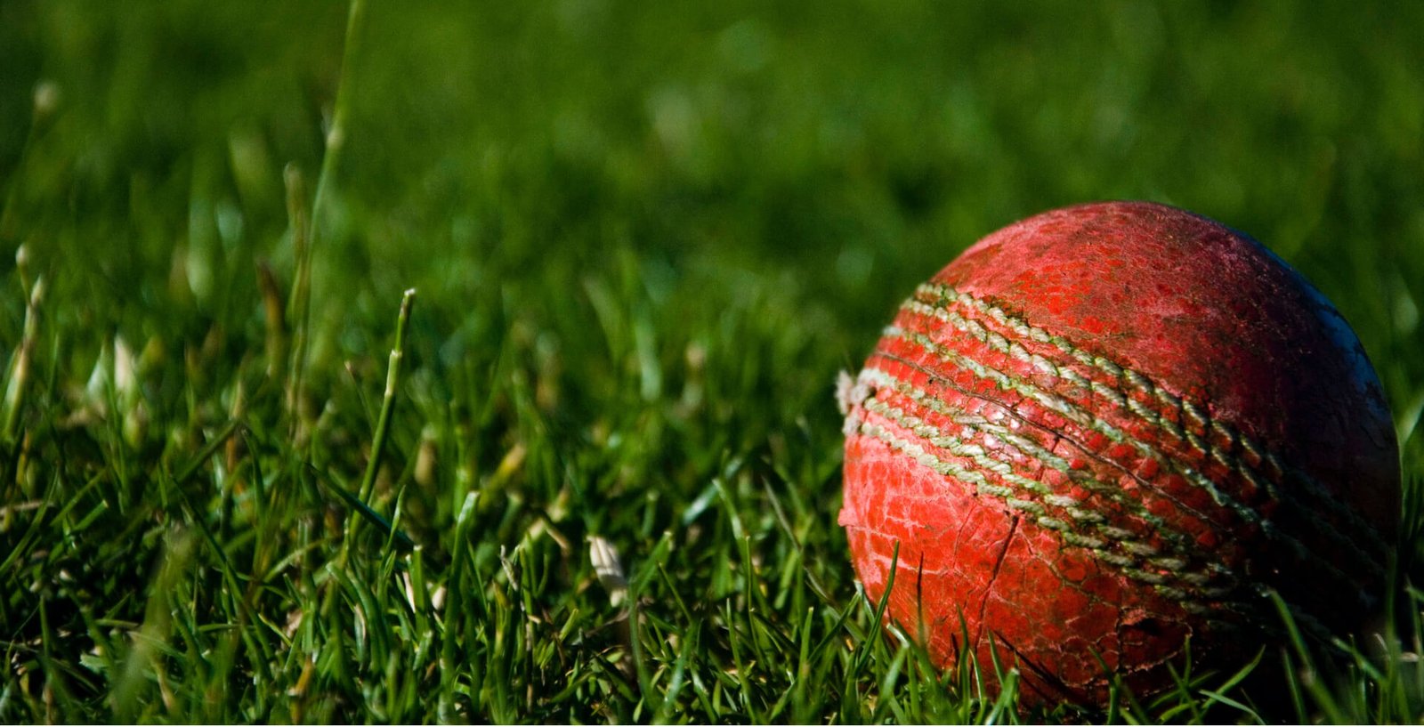 Destination for world Cricket News